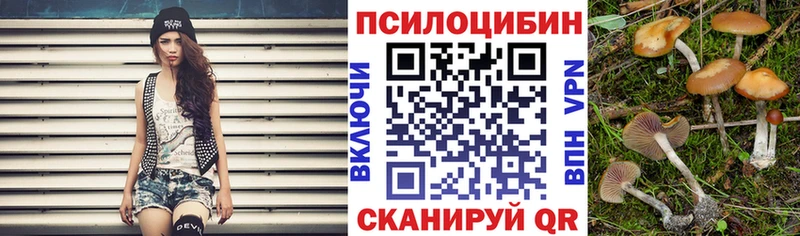 Галлюциногенные грибы мицелий Верещагино